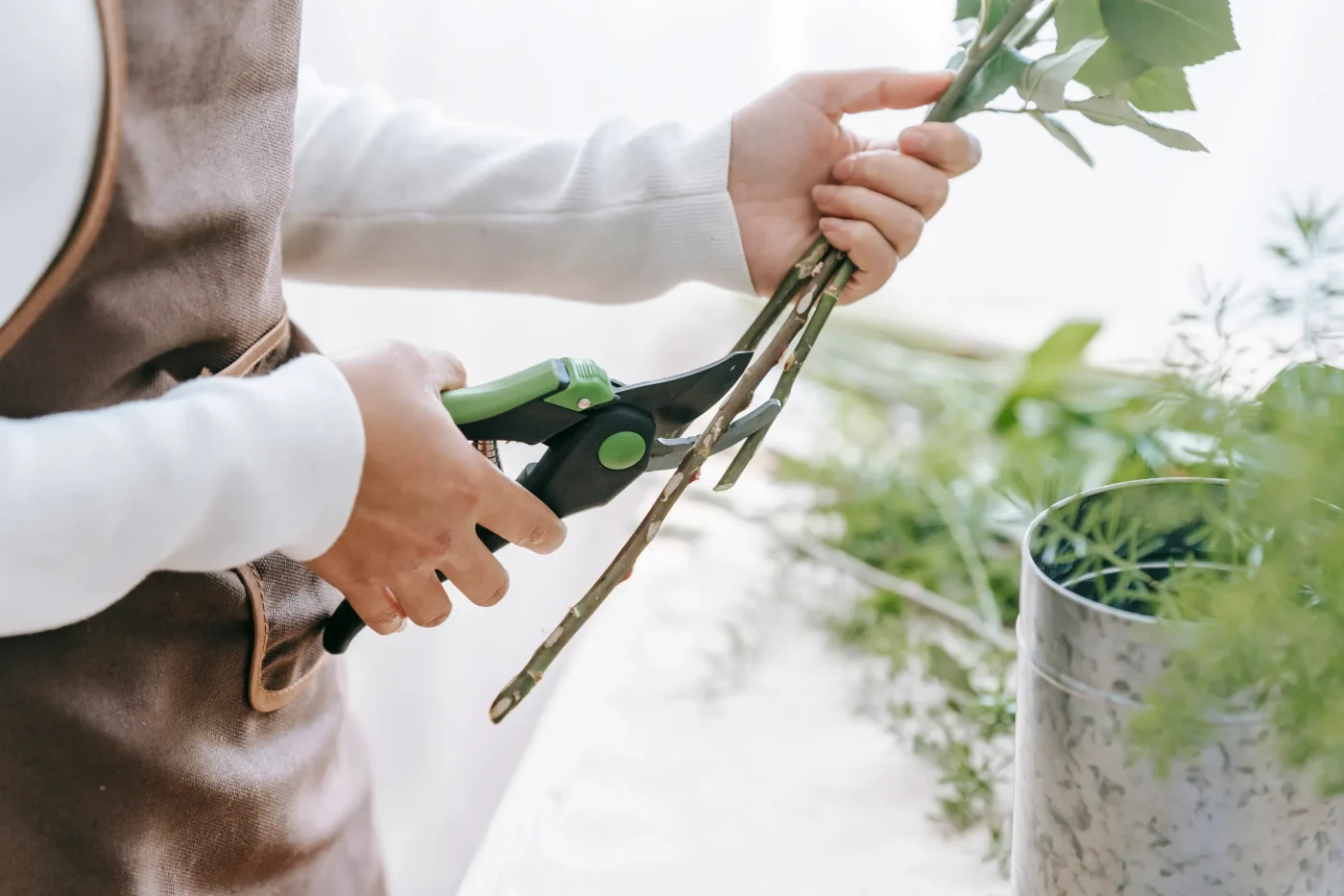 The Myth of Smashing Flower Stems
