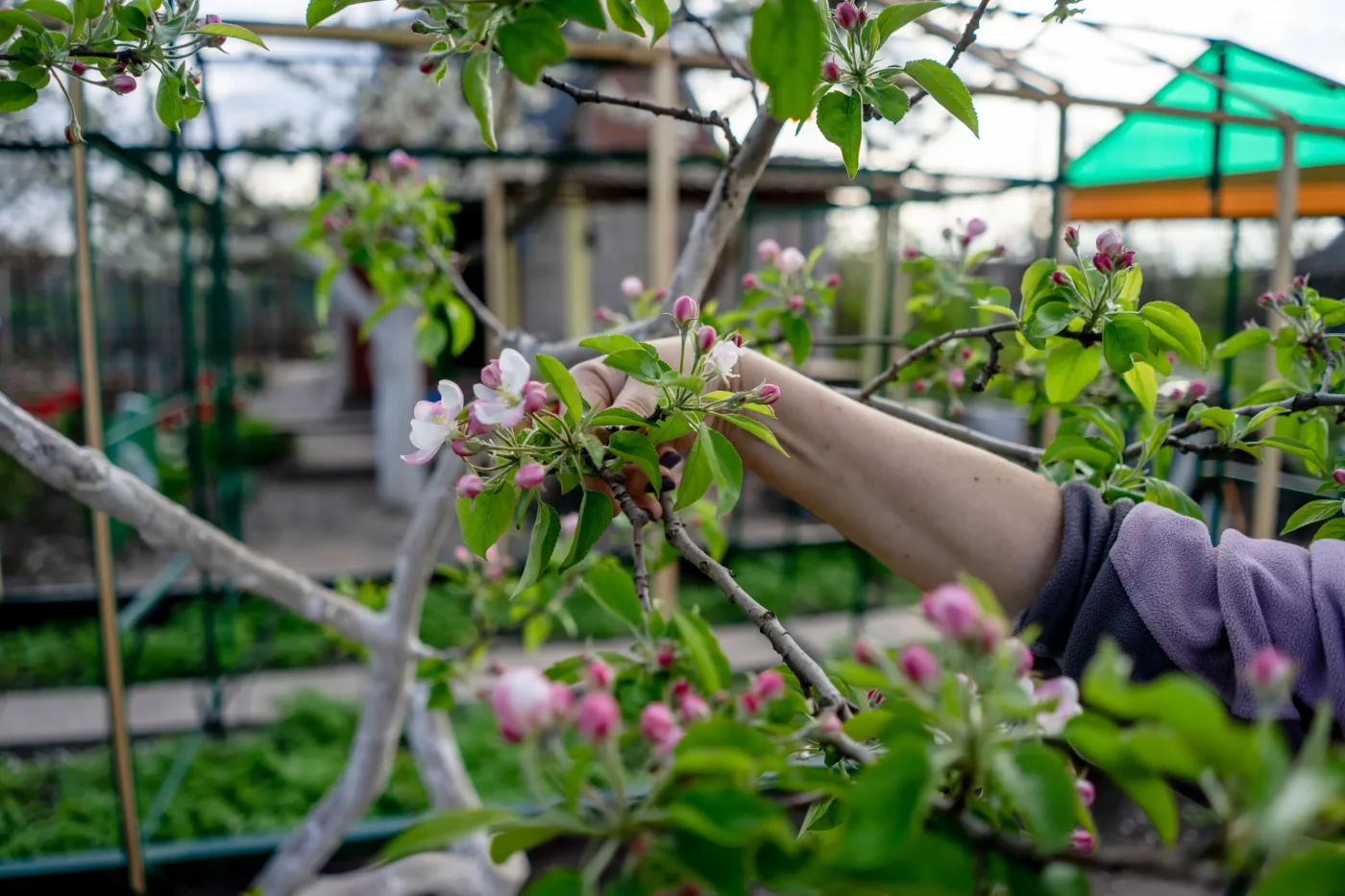 Preventing Mildew From Returning Next Season