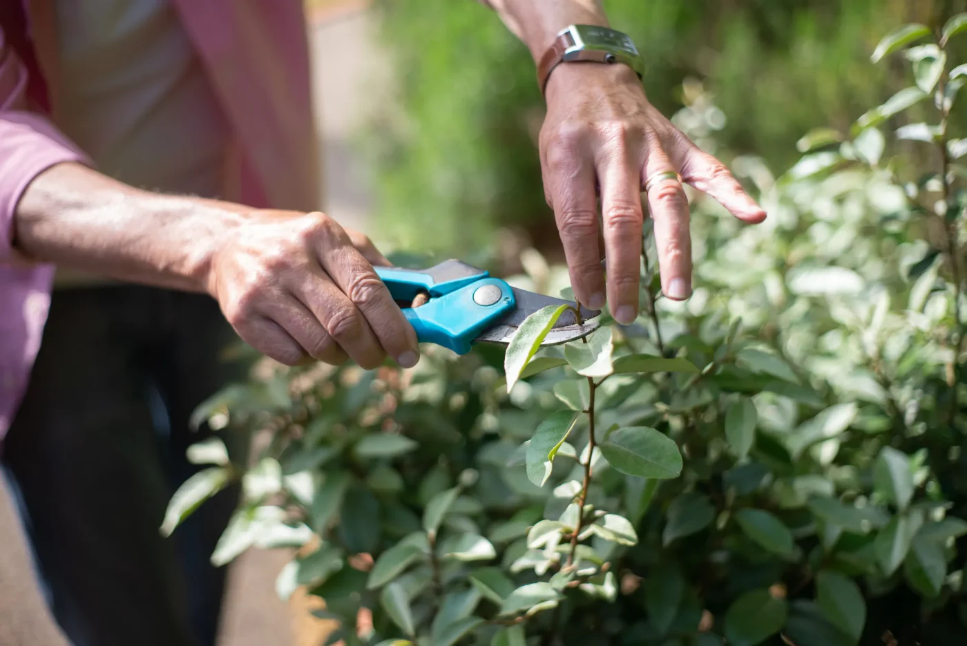 Preventing Spring Recurrence