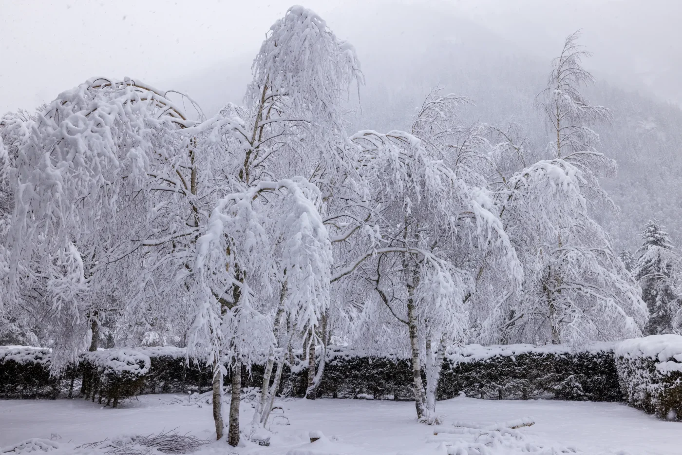 Busting the Deep-Freeze Myth