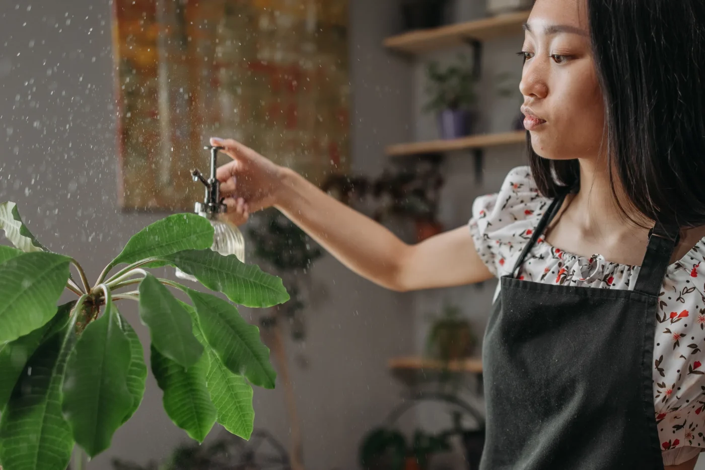 How to Create the Ideal Conditions for Flowering