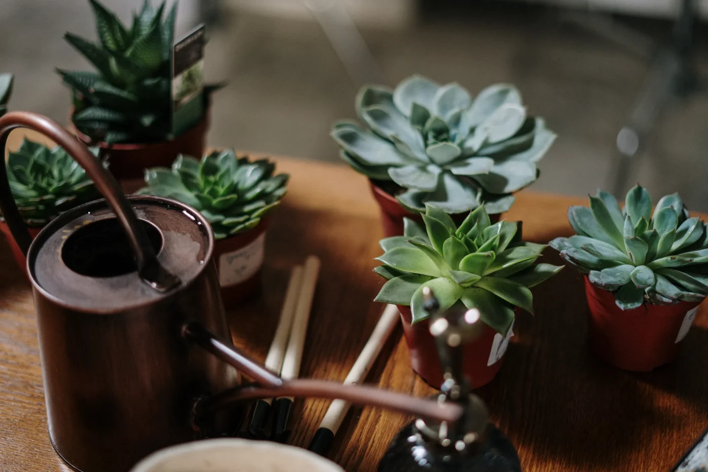 Essential Care Tips to Support New Bud Development