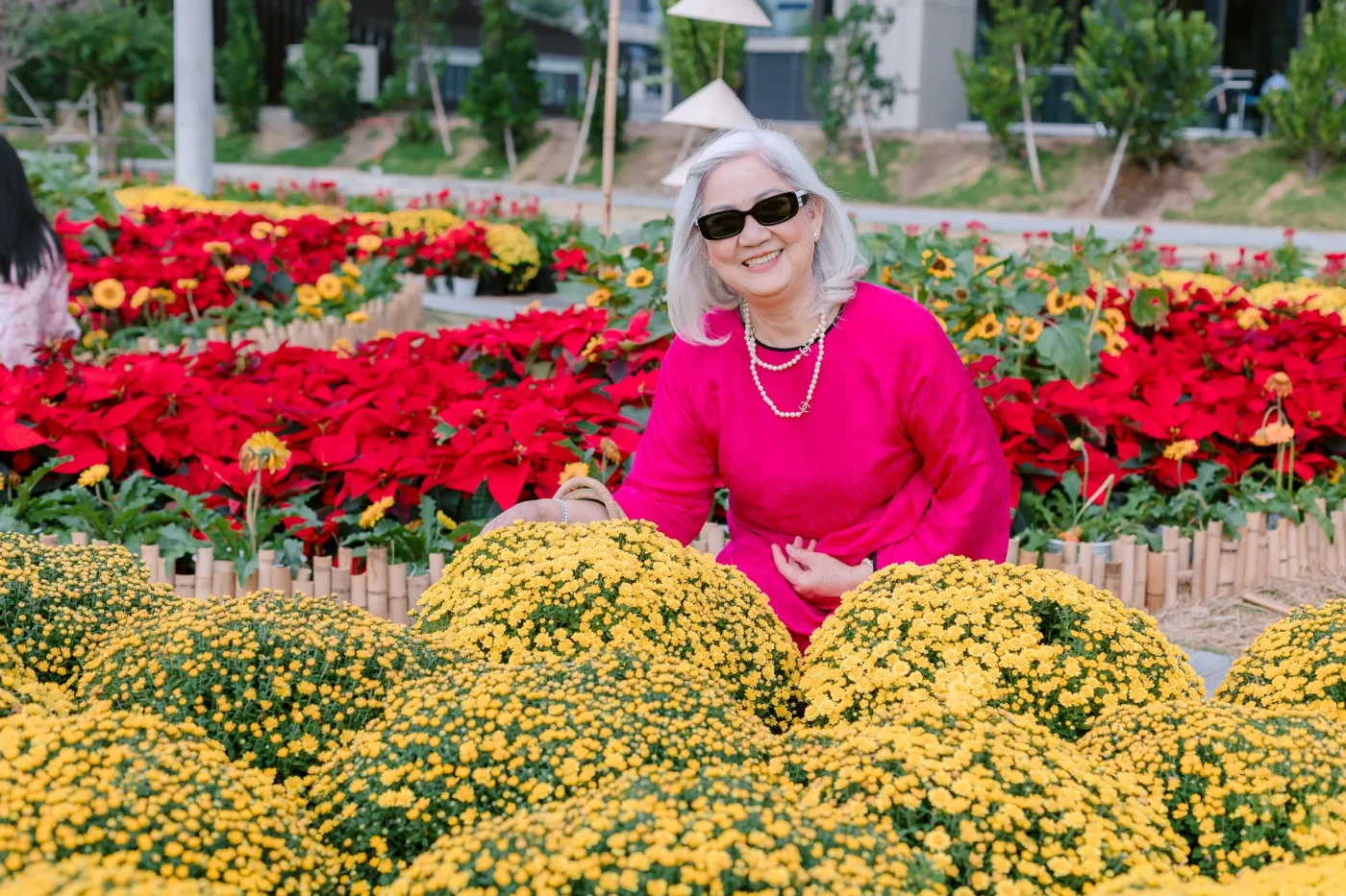 Essential Steps for Foolproof Holiday Poinsettia Care